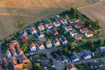 Waldsr in Herxheimweyher im Bundesland Rheinland-Pfalz, Deutschland