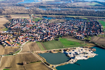 Luftaufnahme von Dorf - Ansicht am Rande von landwirtschaftlichen Feldern und Nutzflächen in Leimersheim im Bundesland Rheinland-Pfalz, Deutschland