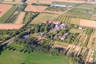 Therapiezentrum am Rosenhof, Gutshof Ladenburg und Eichenstolz im Bundesland Baden-Württemberg, Deutschland