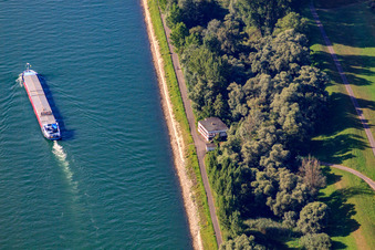Frachtschiff auf dem Rhein an der Roischnook in Germersheim im Bundesland Rheinland-Pfalz, Deutschland