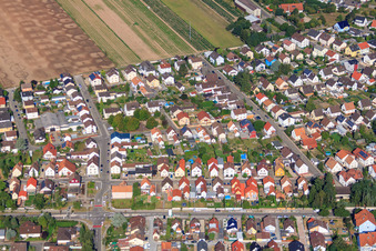 Albert-Schweitzer-Straße im Ortsteil Sondernheim in Germersheim im Bundesland Rheinland-Pfalz, Deutschland