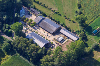 Schrägluftbild von Reiterhof Kennelhof im Ortsteil Sondernheim in Germersheim im Bundesland Rheinland-Pfalz, Deutschland