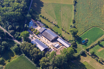Reiterhof Kennelhof im Ortsteil Sondernheim in Germersheim im Bundesland Rheinland-Pfalz, Deutschland von oben