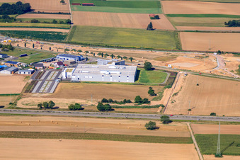 Gewerbegebiet Nordring DBK EMS GmbH & Co. KG und DBK David + Baader GmbH in Rülzheim im Bundesland Rheinland-Pfalz, Deutschland von oben gesehen