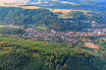 Rebberge am Katzenberg in Weingarten im Bundesland Baden-Württemberg, Deutschland