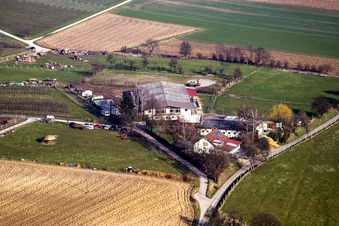 Pferdehof Heidebrunnerhof in Oberotterbach im Bundesland Rheinland-Pfalz, Deutschland