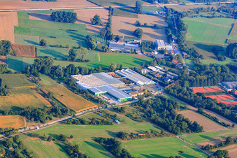 Mauk Gartenwelt Karlsruhe - Pflanzen Mauk Blumenparadies GmbH im Ortsteil Grötzingen im Bundesland Baden-Württemberg, Deutschland