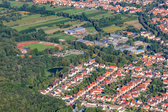 Siedlung, Schulzentrum, Stadion in Kandel im Bundesland Rheinland-Pfalz, Deutschland