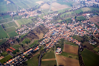 Ortsansicht der Straßen und Häuser der Wohngebiete im Ortsteil Ingenheim in Billigheim-Ingenheim im Bundesland Rheinland-Pfalz, Deutschland aus der Luft