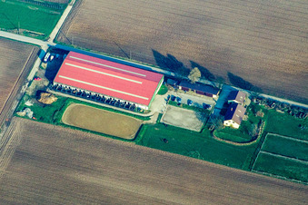 Schrägluftbild von Fohlenhof in Steinweiler im Bundesland Rheinland-Pfalz, Deutschland