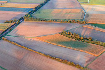 Bahnübergang für Feldweg zwischen Höfen und Minfeld im Bundesland Rheinland-Pfalz, Deutschland
