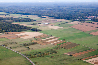 Drohnenaufname von Dieffenbach-lès-Wœrth im Bundesland Bas-Rhin, Frankreich