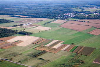 Dieffenbach-lès-Wœrth im Bundesland Bas-Rhin, Frankreich aus der Drohnenperspektive