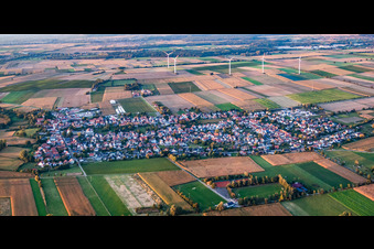 Dorfpanorama aus Süden in Minfeld im Bundesland Rheinland-Pfalz, Deutschland