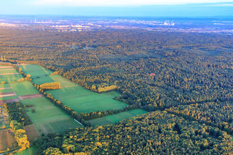 Otterbachniederung und Bienwald in Minfeld im Bundesland Rheinland-Pfalz, Deutschland
