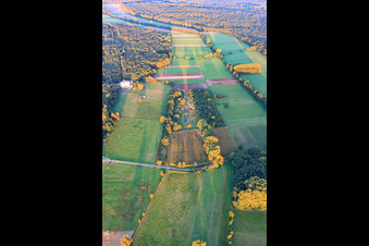 Luftbild von Otterbachniederung und Bienwald in Minfeld im Bundesland Rheinland-Pfalz, Deutschland
