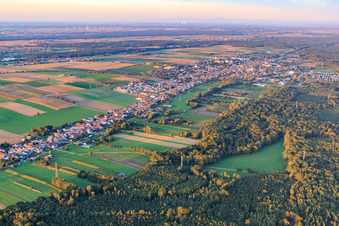 Luftbild von Stadtpanorama aus Südwesten in Kandel im Bundesland Rheinland-Pfalz, Deutschland