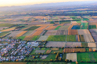Windpark Minfeld von Süden im Bundesland Rheinland-Pfalz, Deutschland