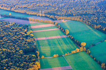 Bruchbach- und Otterbachniederung und Bienwald in Kandel im Bundesland Rheinland-Pfalz, Deutschland