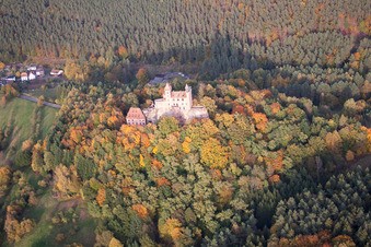 Burg Berwartstein in Erlenbach bei Dahn im Bundesland Rheinland-Pfalz, Deutschland von oben