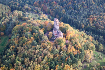 Burg Berwartstein in Erlenbach bei Dahn im Bundesland Rheinland-Pfalz, Deutschland vom Flugzeug aus