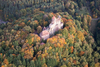 Burg Berwartstein in Erlenbach bei Dahn im Bundesland Rheinland-Pfalz, Deutschland aus der Vogelperspektive