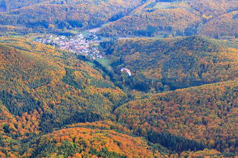 Herbst im Pfälzerwald mit Gleitschirm in Waldhambach im Bundesland Rheinland-Pfalz, Deutschland
