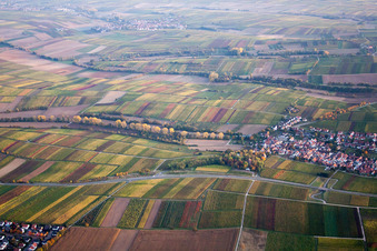 Ortsteil Wollmesheim in Landau in der Pfalz im Bundesland Rheinland-Pfalz, Deutschland von einer Drohne aus