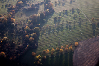 Lembach im Bundesland Bas-Rhin, Frankreich von oben
