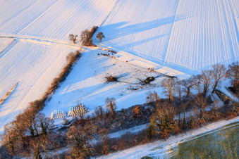Pferdekoppel im Winter bei Schnee in Freckenfeld im Bundesland Rheinland-Pfalz, Deutschland