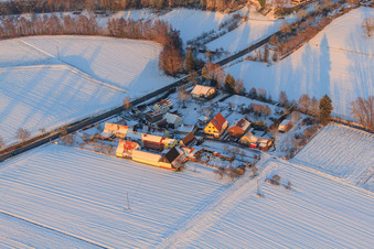 Luftbild von Ortsteil Welchhof im Winter bei Schnee in Freckenfeld im Bundesland Rheinland-Pfalz, Deutschland