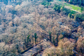 Fun Forest: Abenteuerpark Kandel im Bundesland Rheinland-Pfalz, Deutschland