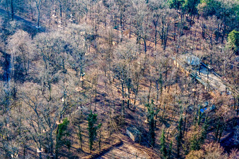 Luftbild von Fun Forest: Abenteuerpark Kandel im Bundesland Rheinland-Pfalz, Deutschland