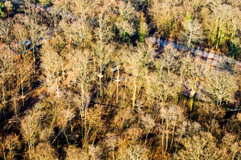Fun Forest: Abenteuerpark Kandel im Bundesland Rheinland-Pfalz, Deutschland vom Flugzeug aus