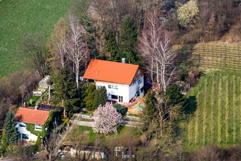 Haingasse in Dierbach im Bundesland Rheinland-Pfalz, Deutschland