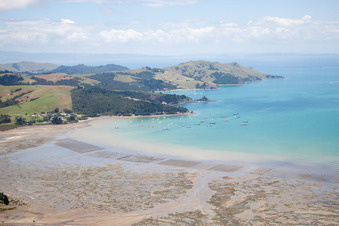 Coromandel/Te Kouma
