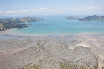 Ortsteil Preece Point in Coromandel im Bundesland Waikato, Neuseeland von oben gesehen