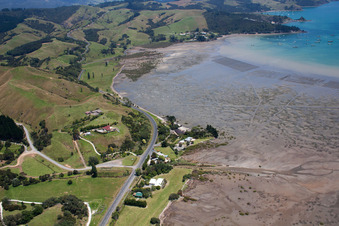 Coromandel/Manaia