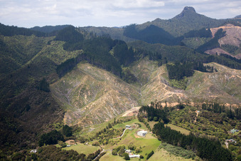 Drohnenbild von Ortsteil Preece Point in Coromandel im Bundesland Waikato, Neuseeland