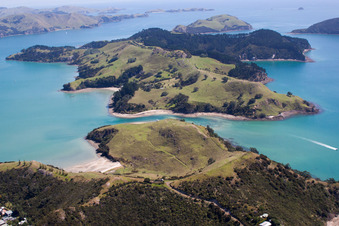Drohnenbild von Ortsteil Wyuna Bay in Coromandel im Bundesland Waikato, Neuseeland