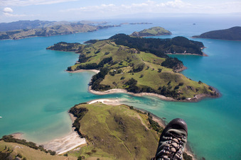 Küstenbereich der Whanganui Insel in Wyuna Bay in Waikato in Coromandel, Neuseeland
