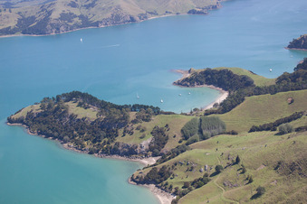 Whanganui Island im Bundesland Waikato, Neuseeland aus der Luft