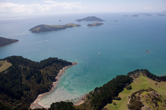 Whanganui Island im Bundesland Waikato, Neuseeland aus der Luft betrachtet