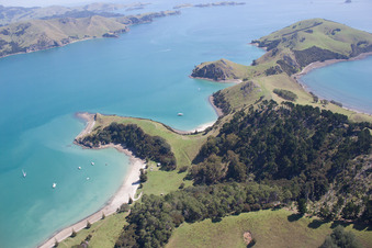 Drohnenaufname von Whanganui Island im Bundesland Waikato, Neuseeland