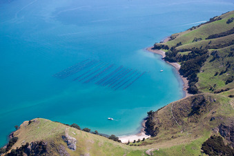 Whanganui Island im Bundesland Waikato, Neuseeland aus der Luft