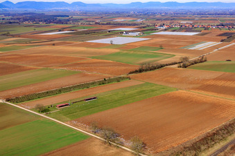 Modellflugplatz des Modellflugverein Freckenfeld e.V im Bundesland Rheinland-Pfalz, Deutschland von oben