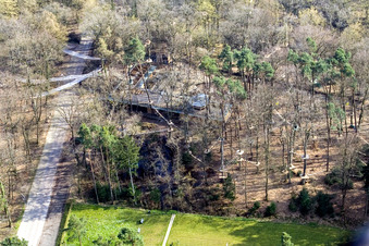 Funforest: Kletterpark Kandel an der Badalleé im Bundesland Rheinland-Pfalz, Deutschland