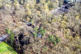 Luftaufnahme von Funforest: Kletterpark Kandel an der Badalleé im Bundesland Rheinland-Pfalz, Deutschland
