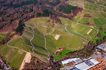 Achertalblick und Bienenbuckel in Achern im Bundesland Baden-Württemberg, Deutschland