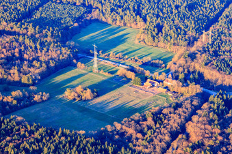 Ehem. Forsthaus Langenberg im Bienwald in Wörth am Rhein im Bundesland Rheinland-Pfalz, Deutschland